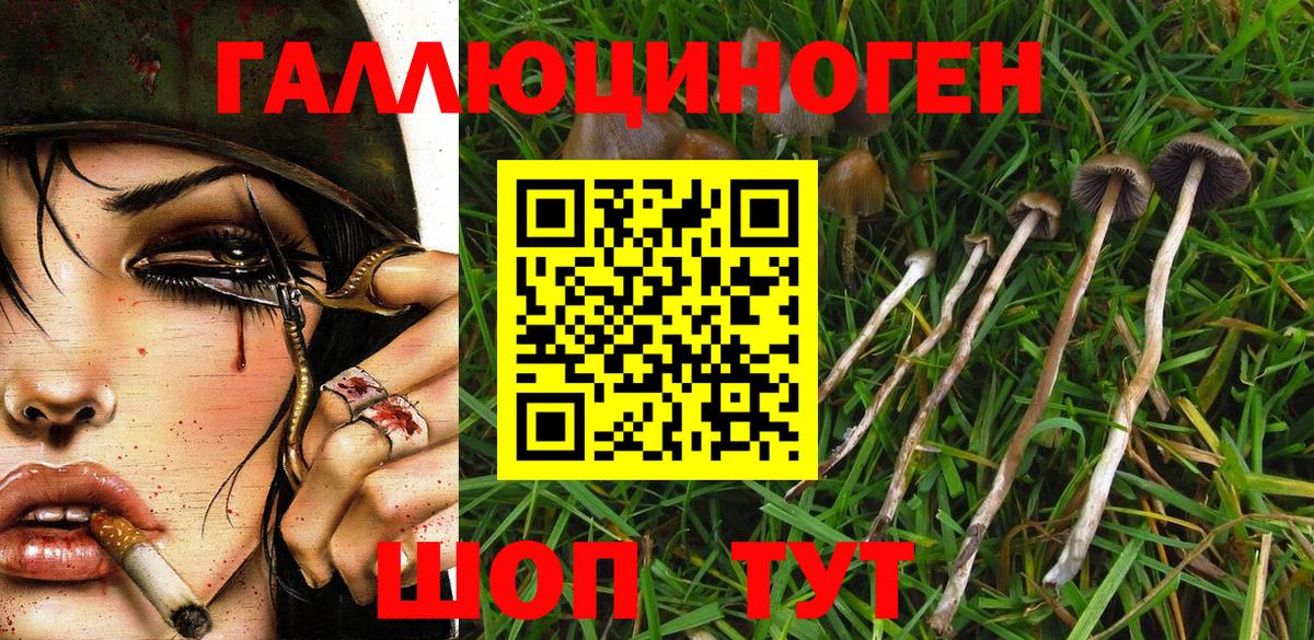 Елец  Псилоцибиновые грибы Cubensis  как найти наркотики  Вход с VPN 