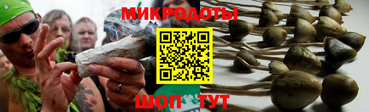 Псилоцибиновые грибы GOLDEN TEACHER Елец